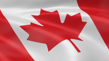 Kanada Bayrağı Rüzgarda