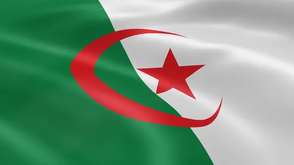 Algerian flag in the wind. — Stock Photo, Image