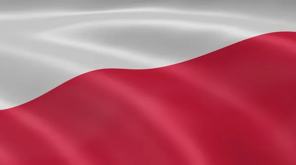 Польський прапор на вітрі — стокове фото