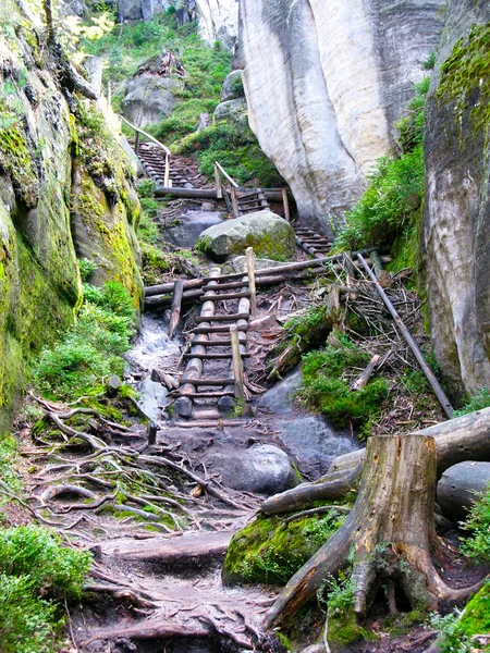 stock image Stairs