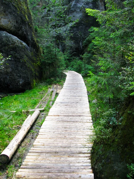 stock image Wood path