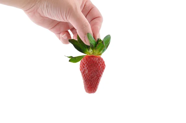 Main et fraise — Photo