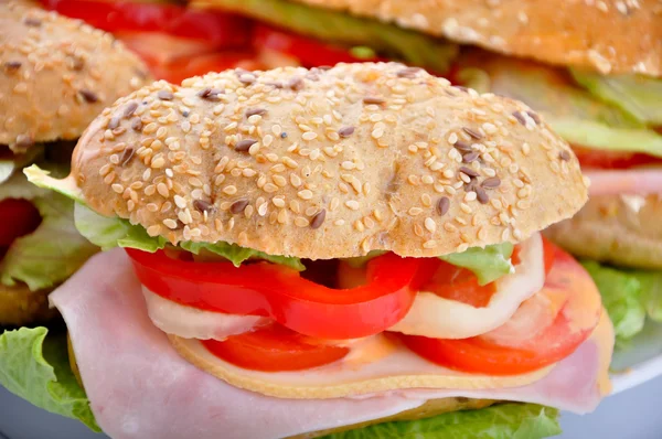 Ronde verse sandwich met plantaardige — Stockfoto