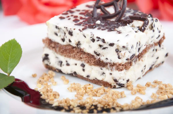 Zoete chocolade dessert met noten en roos — Stockfoto