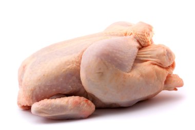 Raw chicken clipart