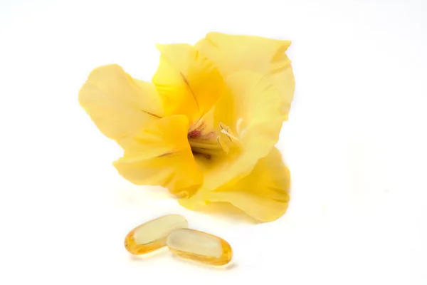 Yellow gladiolus — Stock Photo, Image