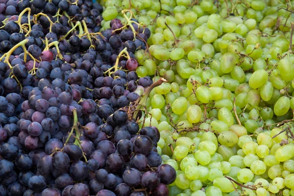 stock image Fresh grapes on the counter market