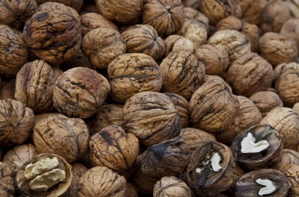 stock image Walnut