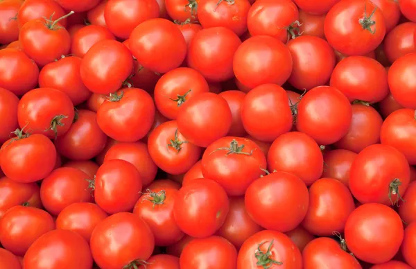 番茄味 免版税图库图片