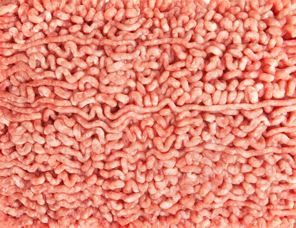 stock image Minced Meat