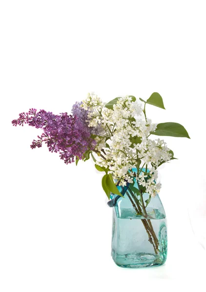 分支的一个花瓶中的紫丁香 — 图库照片