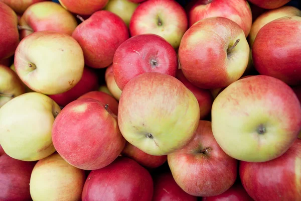 Stock image Red ripe apples on the counter farm market