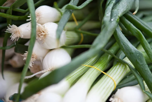 Cebollas verdes frescas en las cajas del mercado cebollino — Foto de Stock