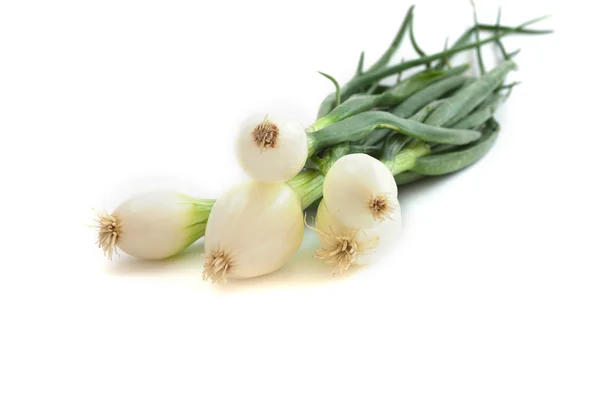 흰 배경에 있는 신선 한 야채 — 스톡 사진