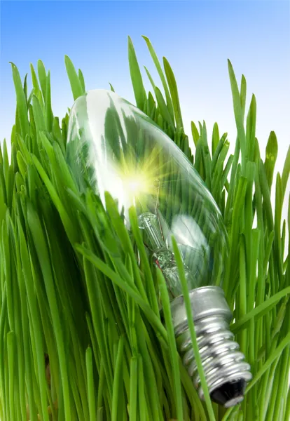 Lamp in a grass — Stock Photo, Image