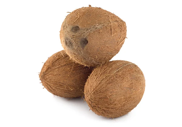 Tři kokos, samostatný — Stock fotografie