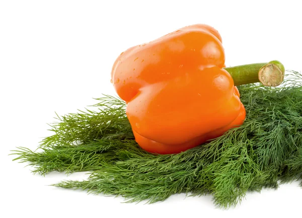Orange pepper and dill — Stock Photo, Image