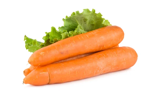 Cenouras e alface — Fotografia de Stock