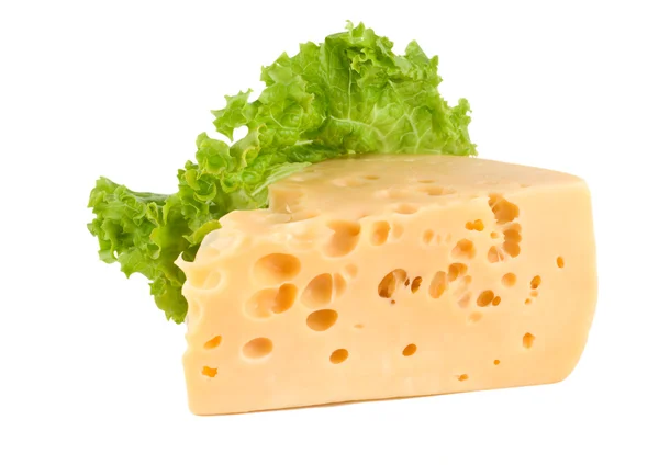 Cheese with lettuce — Stock Photo, Image