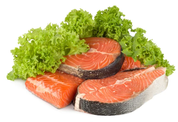 Salmon and lettuce isolated — Stock Photo, Image