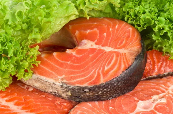 Salmone crudo — Foto Stock
