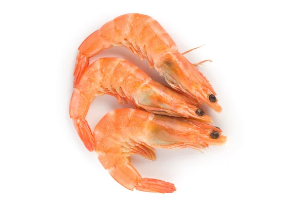 Prepared shrimp isolated — Stock Photo, Image