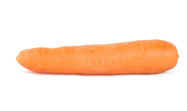 Olgunlaşmış bir carrot — Stok fotoğraf