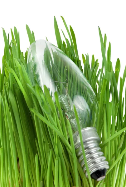 Lamp in grass isolated — Stock Photo, Image