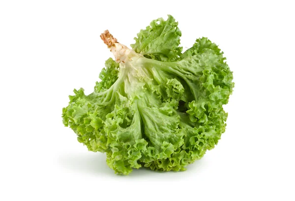 Свежий зеленый салат изолирован — стоковое фото