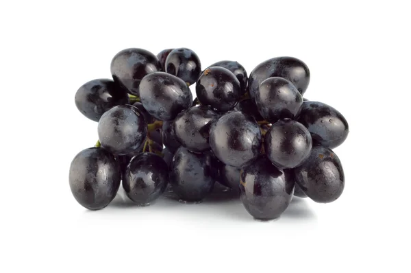 Dojrzałe winogrona niebieski na białym tle — Zdjęcie stockowe