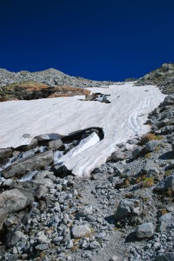 Alpine glacier in summer day clipart