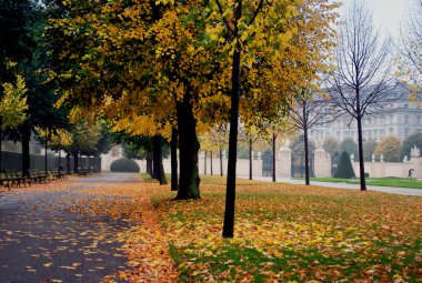 nemli sabah Parkı