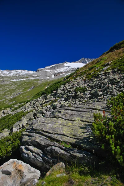 Austriackich górach — Zdjęcie stockowe