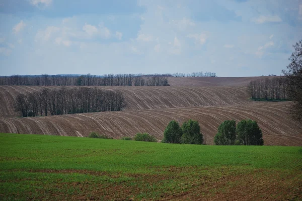 Terras altas agrícolas onduladas — Fotografia de Stock