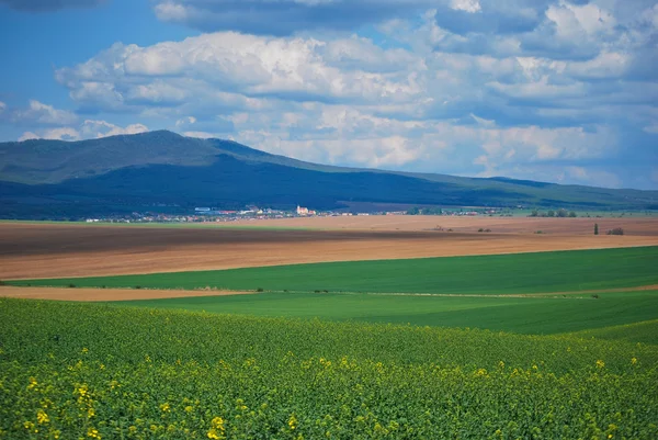 Landbouw landschap — Stockfoto
