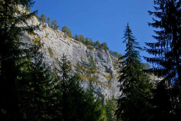 View over trees on massive limestone rock face