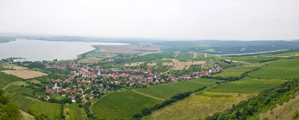 Region winiarski — Zdjęcie stockowe