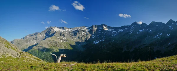 Alpine panorama — Stock Photo, Image