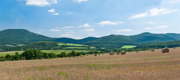 Hay harvesting — Stock Photo, Image