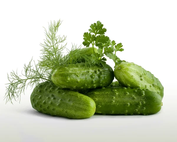 Cucumbers, fennel and parsley on a white background — Stock Photo, Image
