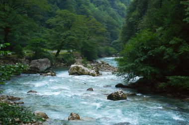 vahşi dağ Nehri