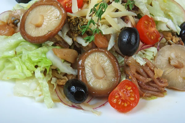 Salada de frutos do mar e cogumelos isolados em fundo branco — Fotografia de Stock