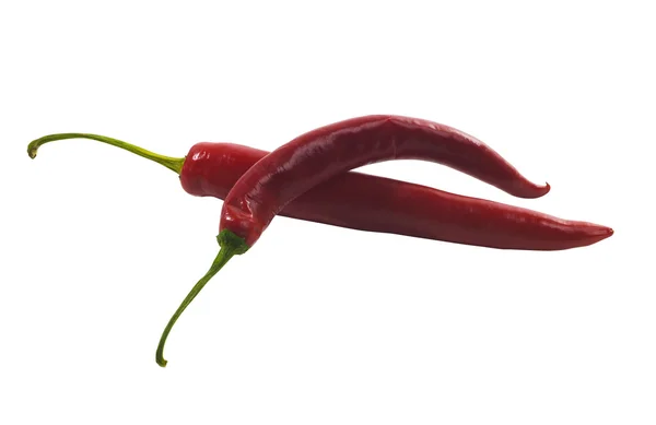 Hot Red Pepper Elszigetelt Fehér Background — Stock Fotó