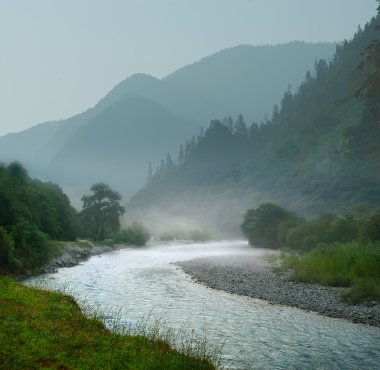 Mountain landscape with the rapid river clipart