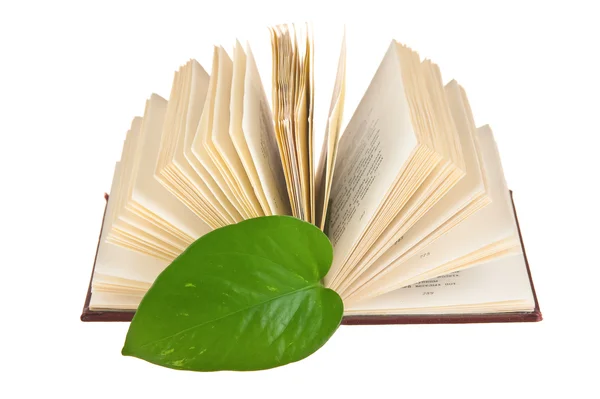 Rozpoczęła książki z zielonych liści — Zdjęcie stockowe
