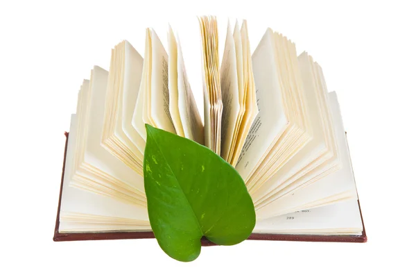 Lanserat bok med ett grönt blad — Stockfoto