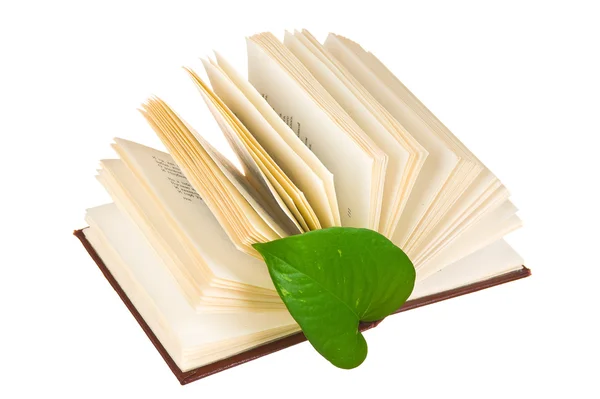 Livro lançado com uma folha verde — Fotografia de Stock