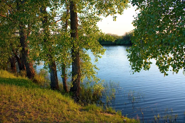 在一个晴朗无云的夏日的湖上的日落 — 图库照片