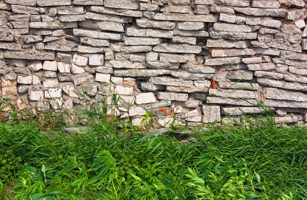 Zielona Trawa Tle Kamiennego Muru — Zdjęcie stockowe