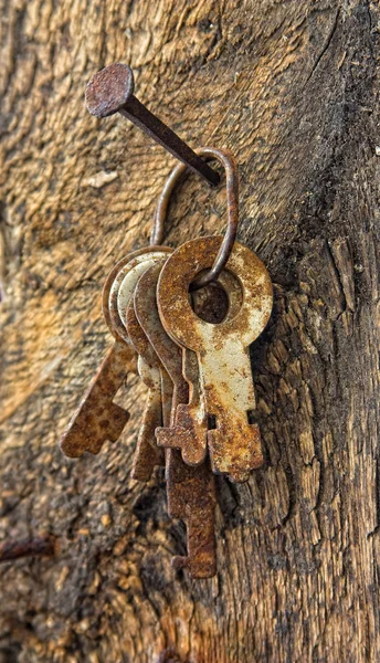 Las llaves olvidadas en un clavo viejo —  Fotos de Stock